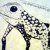 Poison Arrow Frog Drawing